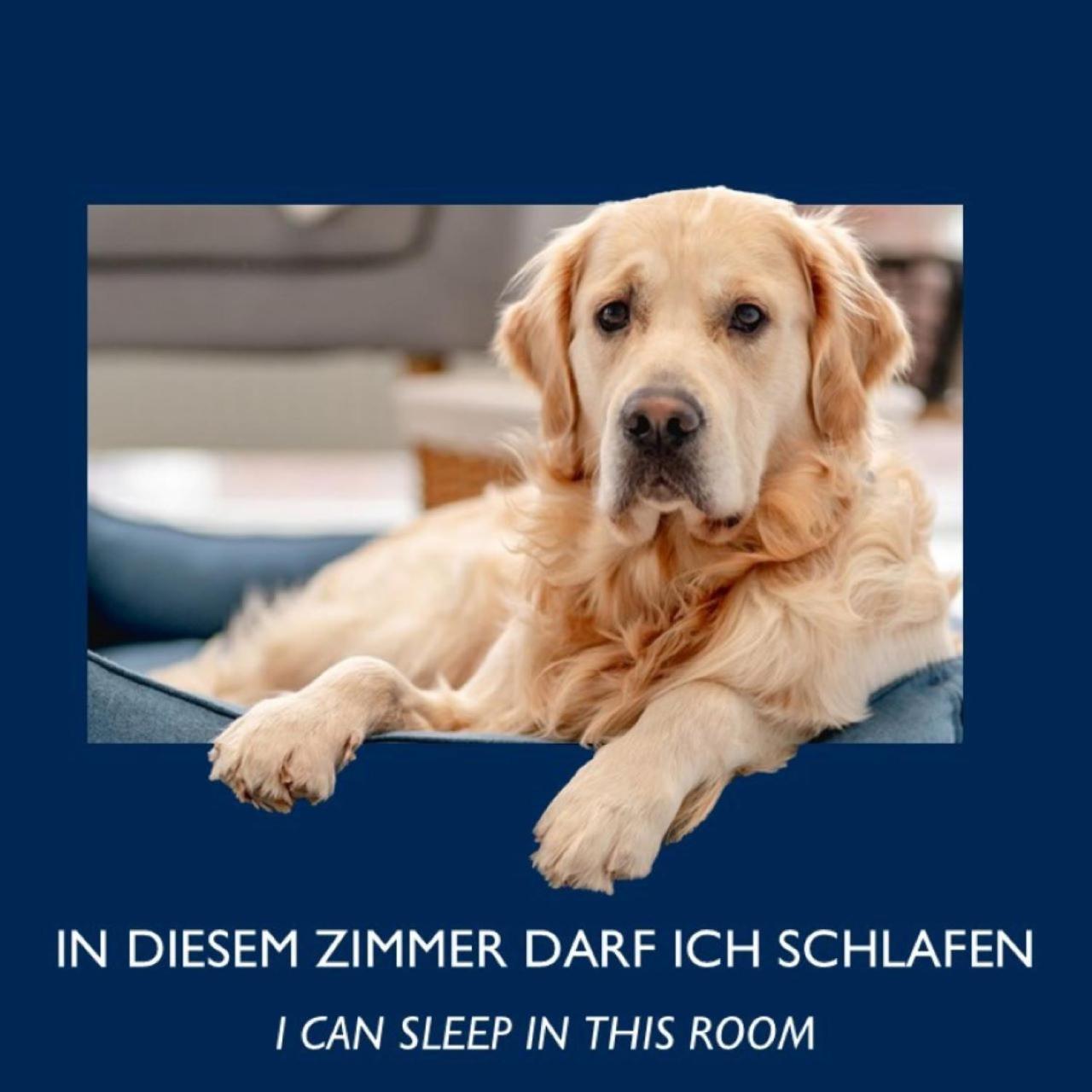 City Hotel Dresden Radebeul Room photo